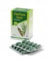 CHOLLESS FORTE BIOVER