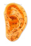 Oreja (izda.) (caucho blando) (13 cm)