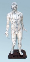Cuerpo humano (caucho blando 46 cm)