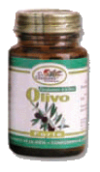 OLIVO FORTE EL GRANERO OLIVO FORTE EL GRANERO