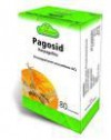 PAGOSID DR. DUNNER PAGOSID DR. DUNNER