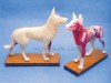 Perro (caucho blando) Perro (caucho blando)