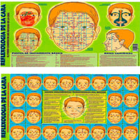 Lámina Reflexología de la cara A4