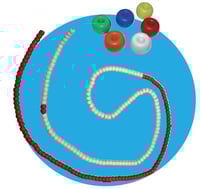 Corchera acuática Roma (Donut) con cuerda y mosquetón (25 metros)