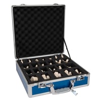 Juego de 24 vértebras BONElike