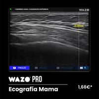 Software de Simulación Clínica en Ecografía Mamaria: Suscripción Anual WAZO® PRO - Mama Software de Simulación Clínica en Ecografía Mamaria: Suscripción Anual WAZO® PRO - Mama