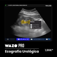 Software de Simulación Clínica en Ecografía Urologica: Suscripción Anual WAZO® PRO - Genital masculino Software de Simulación Clínica en Ecografía Urologica: Suscripción Anual WAZO® PRO - Genital masculino