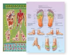 Láminas de puntos de tratamiento chino