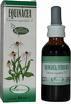 EXTRACTO ECHINACEA SORIA