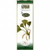 EXTRACTO GINKGO SORIA