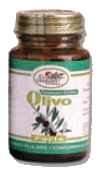 OLIVO FORTE EL GRANERO