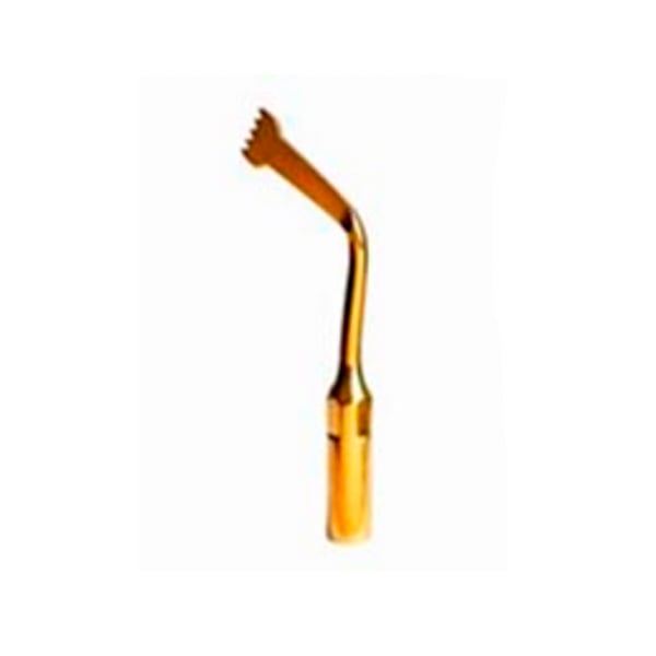 Punta woodpecker ultrasurgery mod 