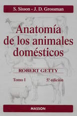 Anatomía de los animales domésticos