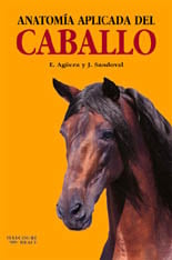 Anatomía aplicada del caballo