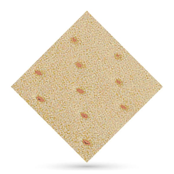 Herbiform Perforado Carne 1 x 1 mts  1,5mm