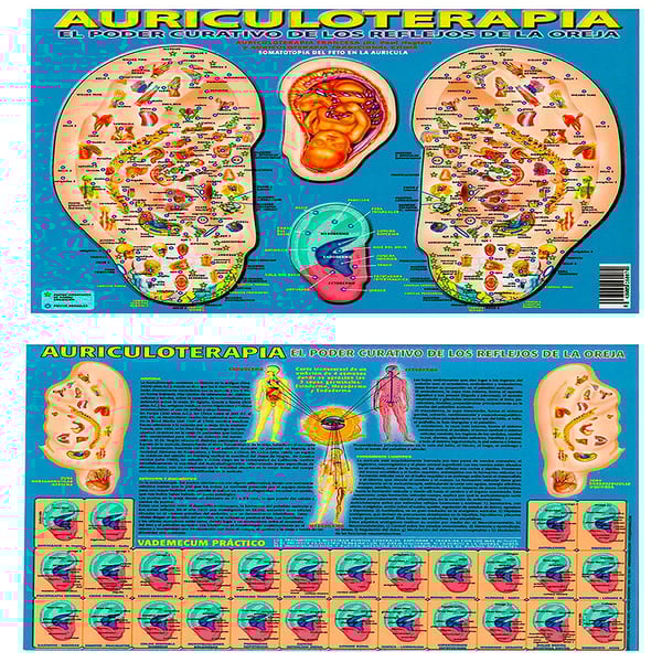 Lámina Auriculoterapia el poder curativo de los reflejos de la oreja