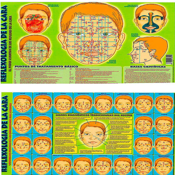 Lámina Reflexología de la cara A4