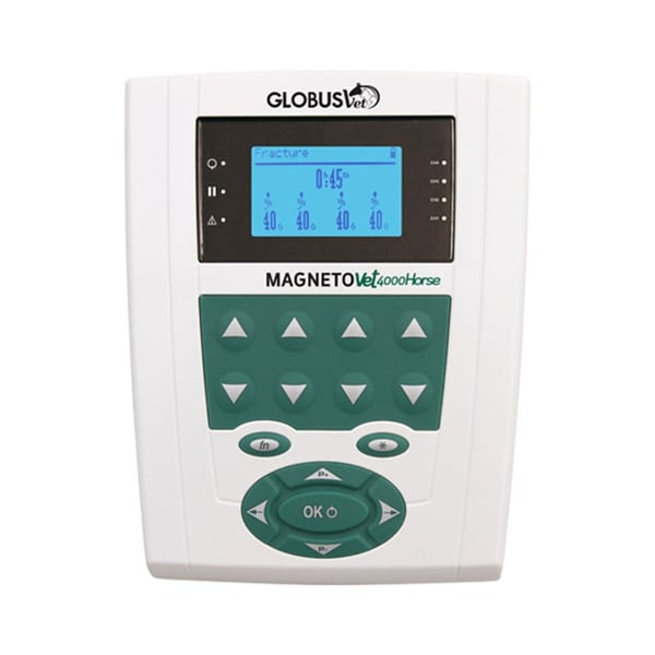 MagnetoVet 4000 Horse Pro: Terapia de Magnetoterapia para Caballos (manta y cubre cuello con solenoides incluidos)
