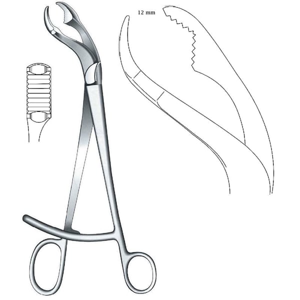 Pinza de sujeción para hueso Verbrugge  27 cm / 11
