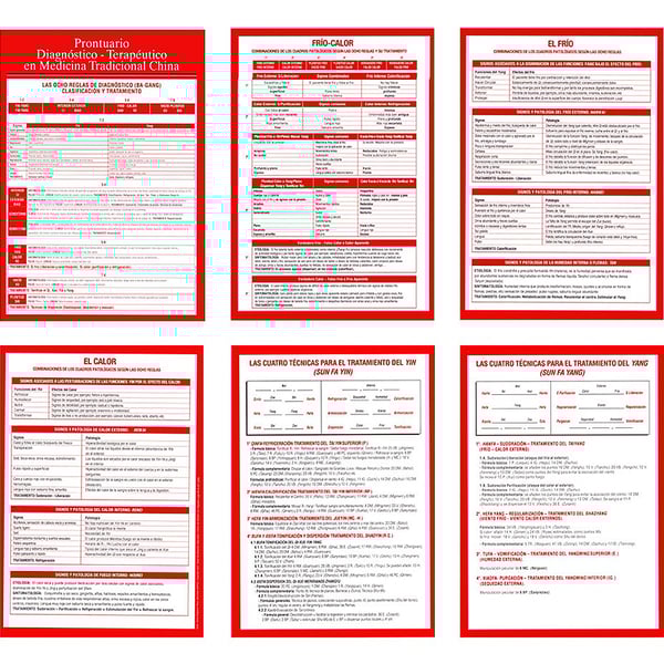 Prontuario Diagnóstico - Terapéutico en MTC