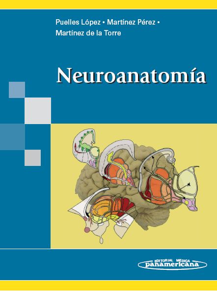 Neuroanatomía