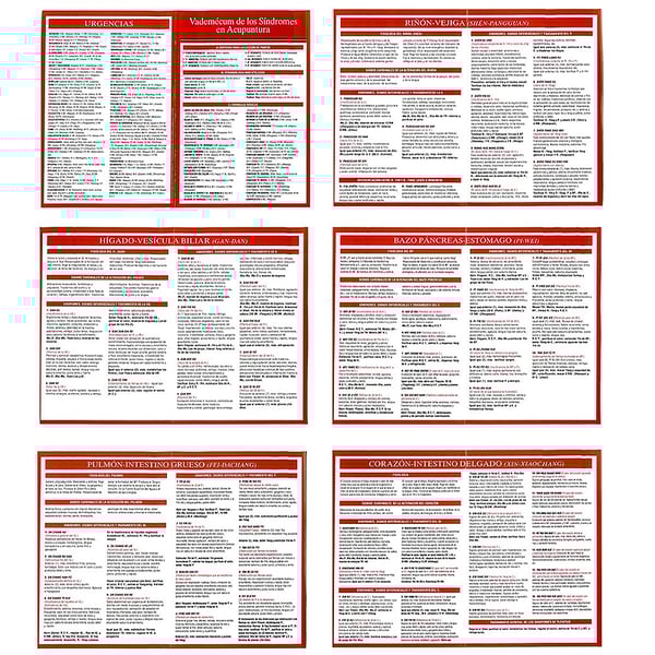 Vademecum de los síndromes en acupuntura