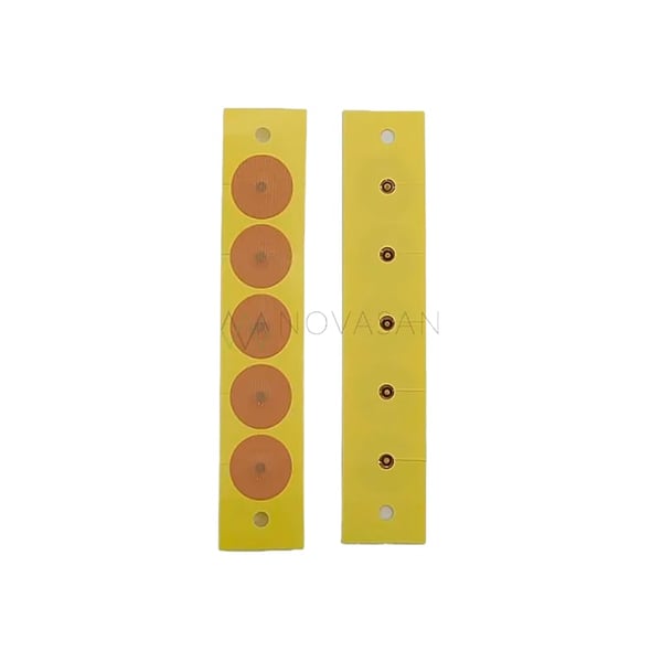 Bolitas cónicas Magrain Steel Pellets (50 unidades): Acupresión auricular precisa y profesional