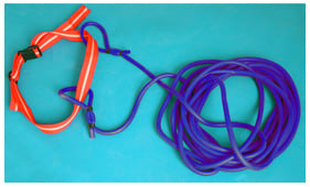 Cinturón de resistencia para natación New 10m. Densidad Ligera