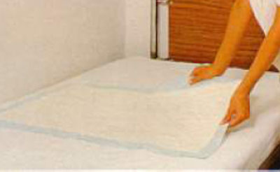 Empapadores de Celulosa 60 X 60cm (Caja de 200 unidades)