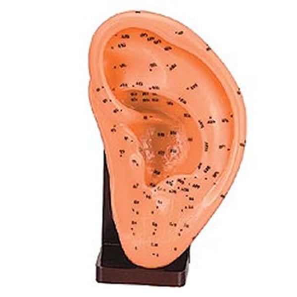 Oreja Izquierda de Caucho Blando 17 cm