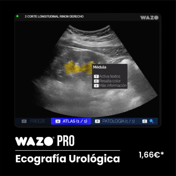 Software de Simulación Clínica en Ecografía Urologica: Suscripción Anual WAZO® PRO - Genital masculino
