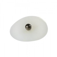 Bolitas para auriculoterapia de titanio con adhesivo transparente (200 unidades) Bolitas para auriculoterapia de titanio con adhesivo transparente (200 unidades)