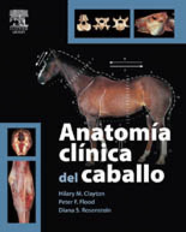 Anatomía clínica del caballo