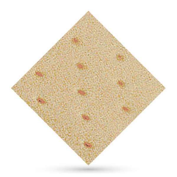 Herbiform Perforado Carne 1 x 1 mts  1,5mm Herbiform Perforado Carne 1 x 1 mts  1,5mm