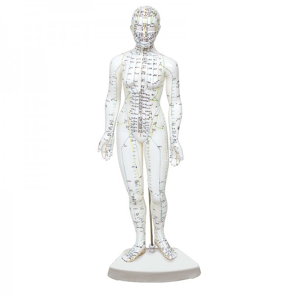 Modelo de cuerpo humano femenino 46 cm: 361 puntos de acupuntura y 80 puntos curiosos