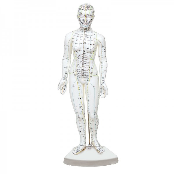 Modelo de cuerpo humano femenino 46 cm: 361 puntos de acupuntura y 80 puntos curiosos Modelo de cuerpo humano femenino 46 cm: 361 puntos de acupuntura y 80 puntos curiosos