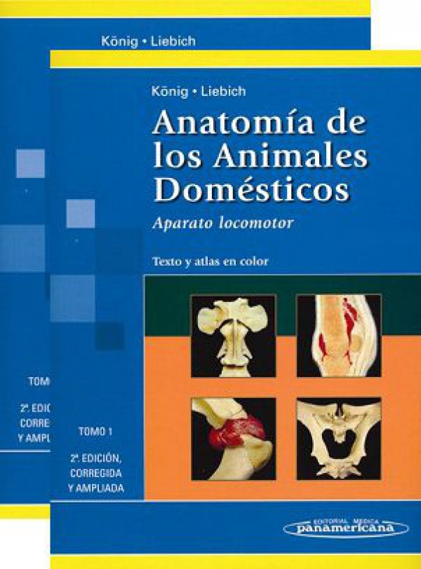 Anatomía de los Animales Domésticos. Tomo I