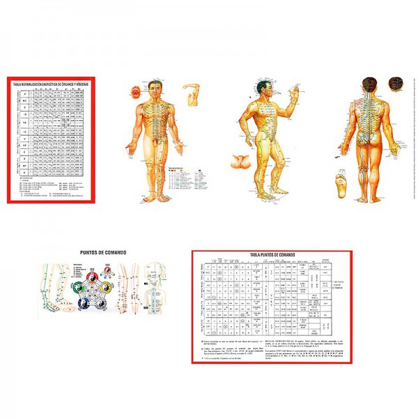 Tríptico plastificado de la guía práctica de anatomofisiología de MTC Tríptico plastificado de la guía práctica de anatomofisiología de MTC