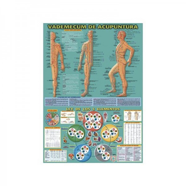 Vademecum de Acupuntura 50 x 70cm Vademecum de Acupuntura 50 x 70cm