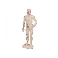 Cuerpo Humano Masculino (Caucho 26 cm)
