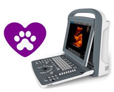 Ecógrafos Veterinarios Ecógrafos Veterinarios