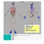 Osteodiagnostic: Software dirigido a Osteópatas y Fisioterapeutas Osteodiagnostic: Software dirigido a Osteópatas y Fisioterapeutas