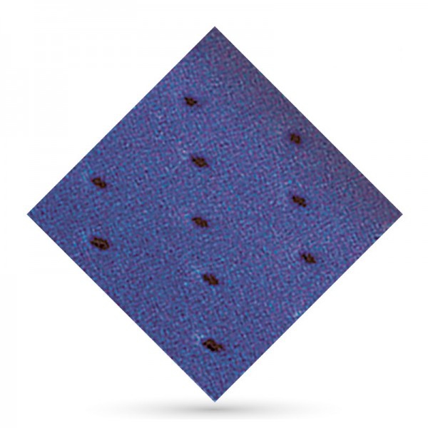 Herbiform Perforado Azul 1,5mm Herbiform Perforado Azul 1,5mm