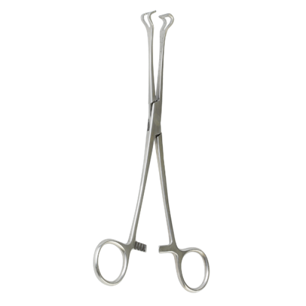 Pinza Babcock, (dos medidas disponibles) (HASTA FIN DE EXISTENCIAS) Pinza Babcock, (dos medidas disponibles) (HASTA FIN DE EXISTENCIAS)