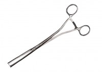 Pinza Museux con dientes, (varias medidas) (HASTA FIN DE EXISTENCIAS) Pinza Museux con dientes, (varias medidas) (HASTA FIN DE EXISTENCIAS)