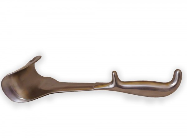 Valvas Doyen, 25cms. (HASTA FIN DE EXISTENCIAS) Valvas Doyen, 25cms. (HASTA FIN DE EXISTENCIAS)