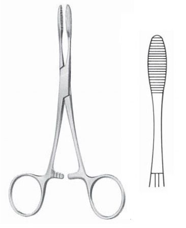 Pinza Pena, recta, sin dientes, 16cms. (HASTA FIN DE EXISTENCIAS)